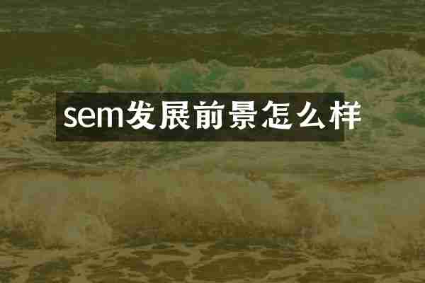 sem发展前景怎么样