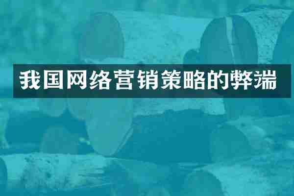 我国网络营销策略的弊端