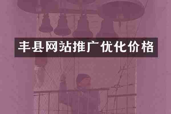 丰县网站推广优化价格