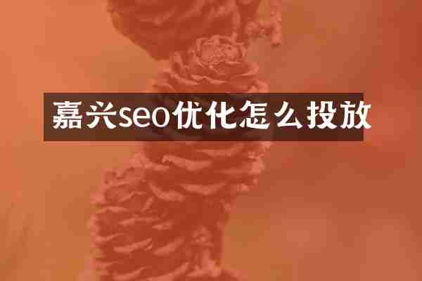 嘉兴seo优化怎么投放