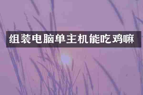 组装电脑单主机能吃鸡嘛