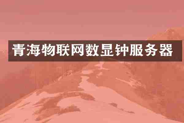 青海物联网数显钟服务器