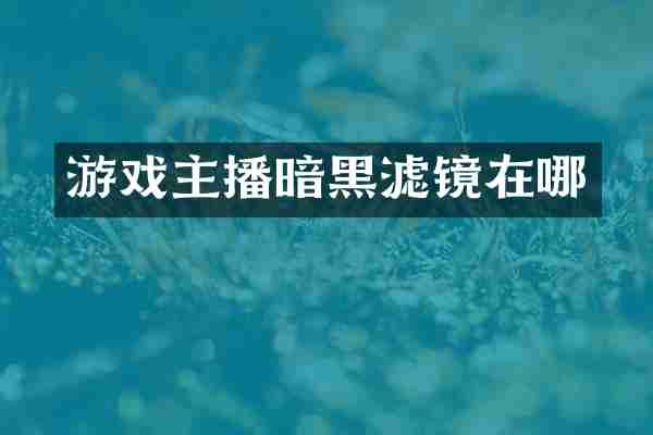 游戏主播暗黑滤镜在哪