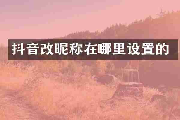 抖音改昵称在哪里设置的