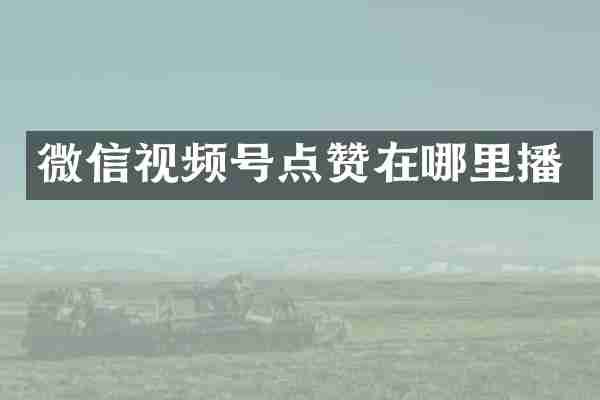 微信视频号点赞在哪里播