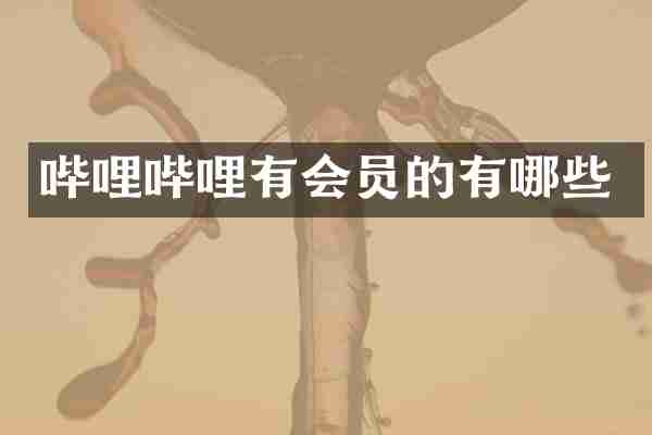 哔哩哔哩有会员的有哪些