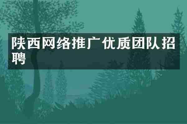 陕西网络推广优质团队招聘
