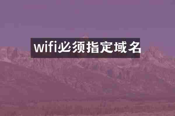 wifi必须指定域名