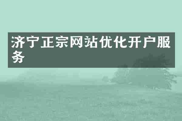济宁正宗网站优化开户服务