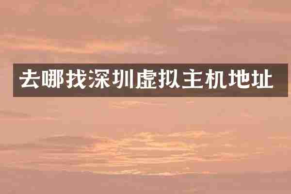 去哪找深圳虚拟主机地址