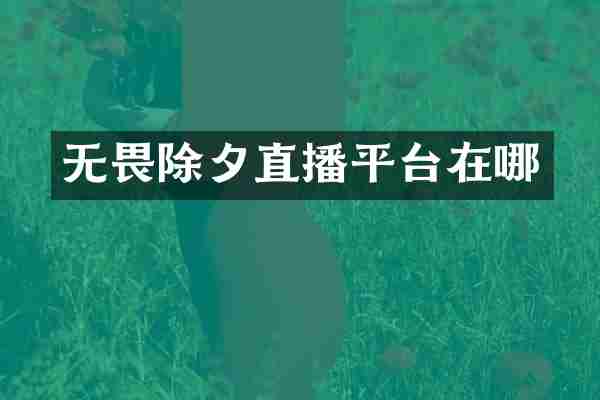 无畏除夕直播平台在哪