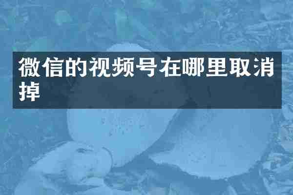 微信的视频号在哪里取消掉