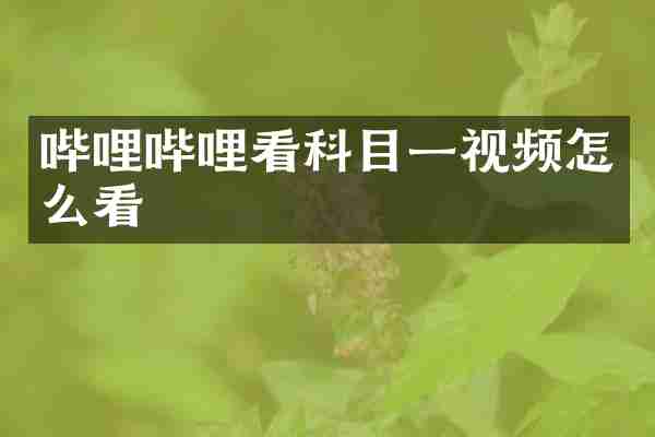 哔哩哔哩看科目一视频怎么看