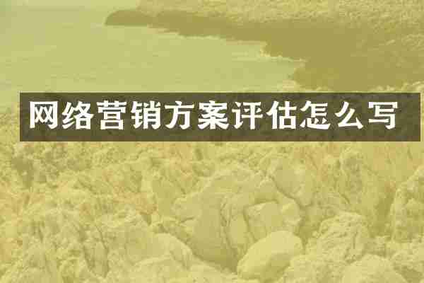 网络营销方案评估怎么写