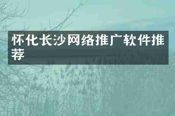 怀化长沙网络推广软件推荐