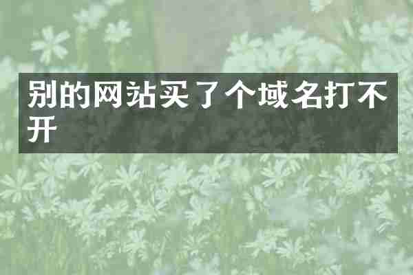 别的网站买了个域名打不开