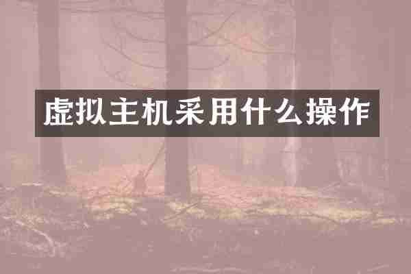 虚拟主机采用什么操作