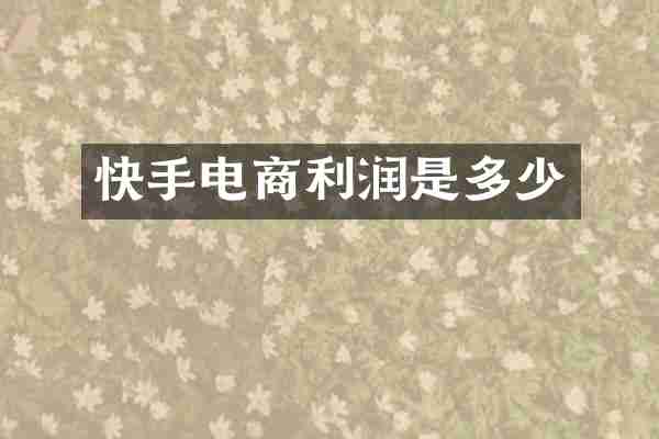 快手电商利润是多少