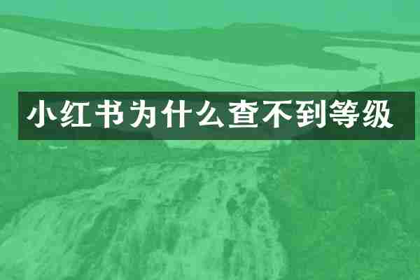 小红书为什么查不到等级