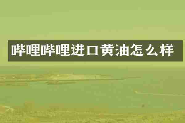哔哩哔哩进口黄油怎么样