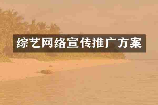 综艺网络宣传推广方案