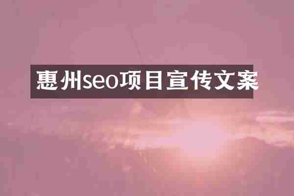 惠州seo项目宣传文案