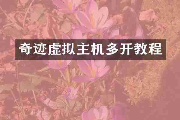 奇迹虚拟主机多开教程