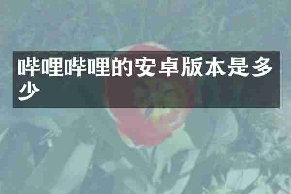 哔哩哔哩的安卓版本是多少