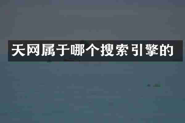 天网属于哪个搜索引擎的