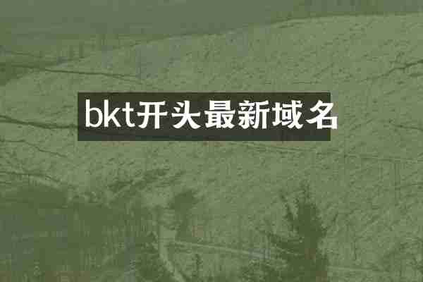 bkt开头最新域名