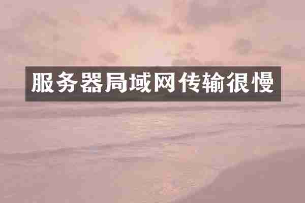 服务器局域网传输很慢