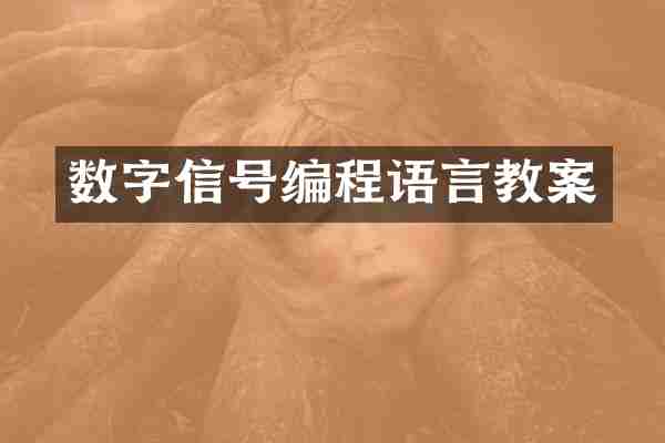 数字信号编程语言教案