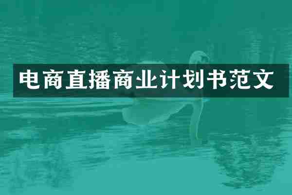 电商直播商业计划书范文