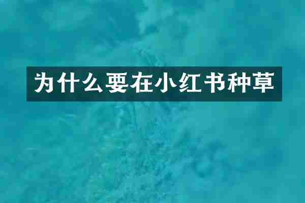 为什么要在小红书种草