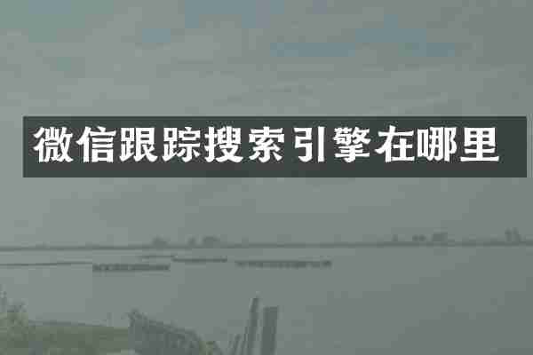 微信跟踪搜索引擎在哪里