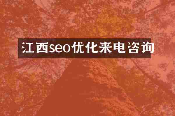 江西seo优化来电咨询