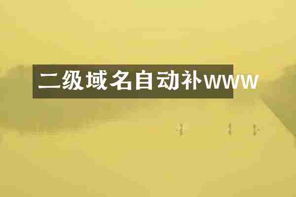 二级域名自动补www