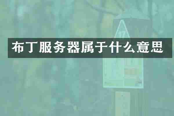 布丁服务器属于什么意思