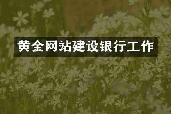 黄金网站建设银行工作
