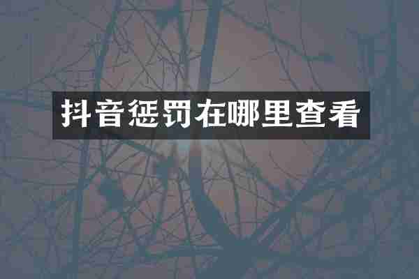 抖音惩罚在哪里查看