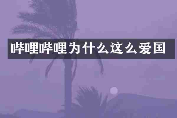 哔哩哔哩为什么这么爱国