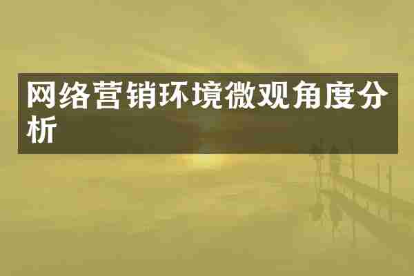 网络营销环境微观角度分析