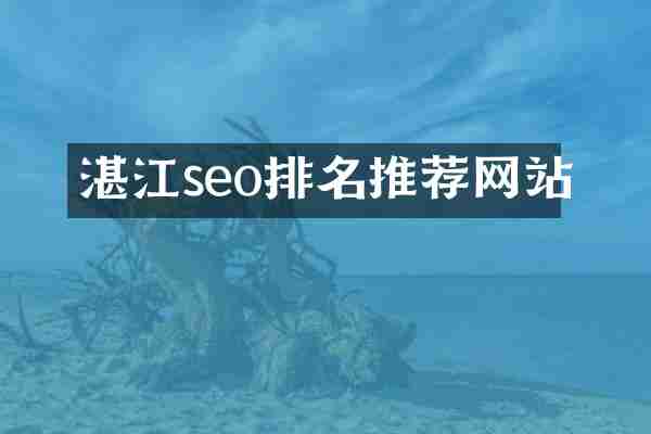 湛江seo排名推荐网站