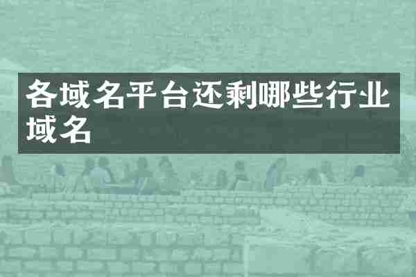 各域名平台还剩哪些行业域名