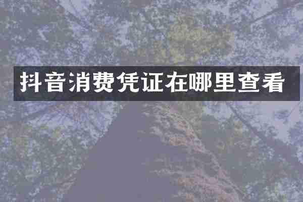 抖音消费凭证在哪里查看