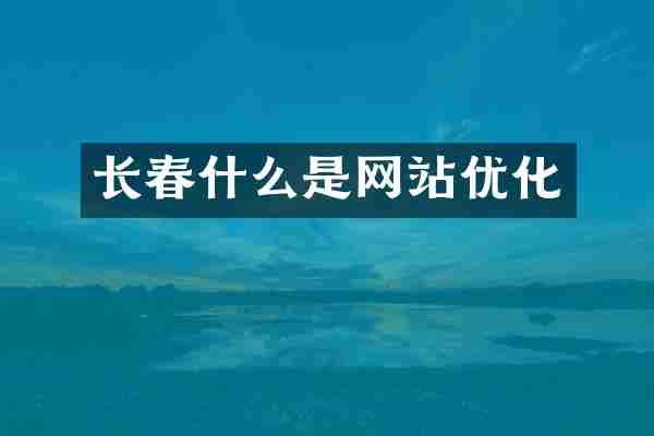 长春什么是网站优化