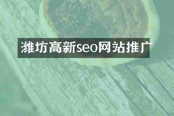潍坊高新seo网站推广