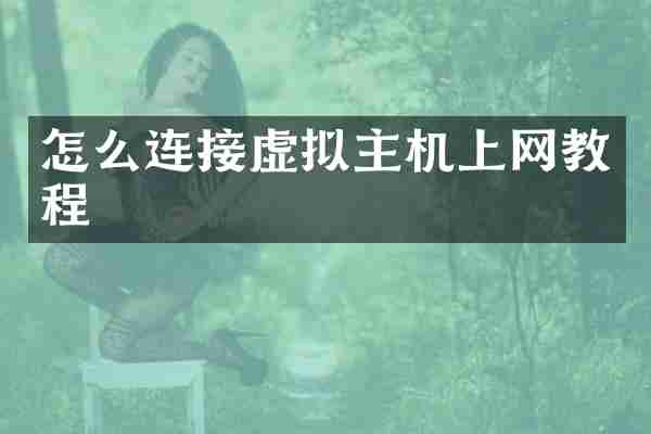 怎么连接虚拟主机上网教程