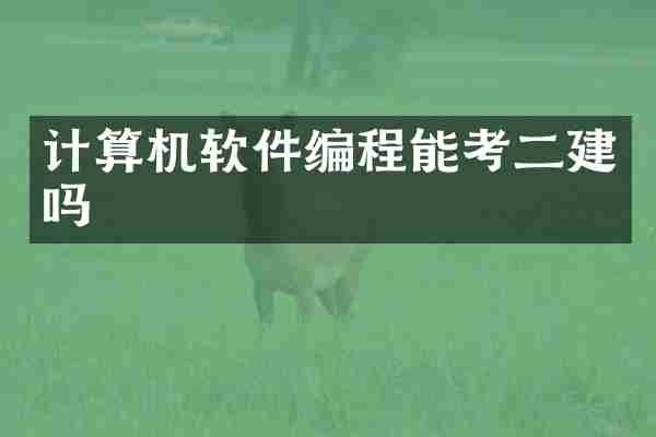 计算机软件编程能考二建吗