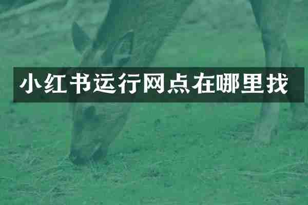 小红书运行网点在哪里找